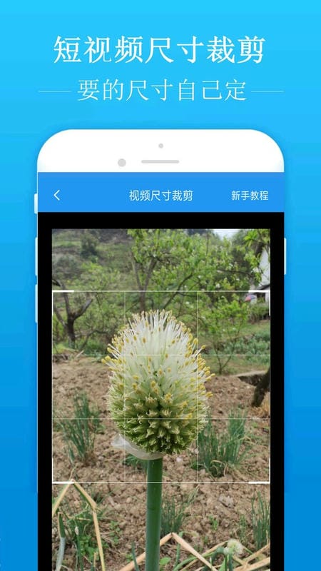 去水印吧会员破解版截图2