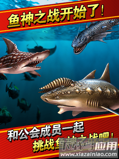 钓鱼发烧友最新版本下载