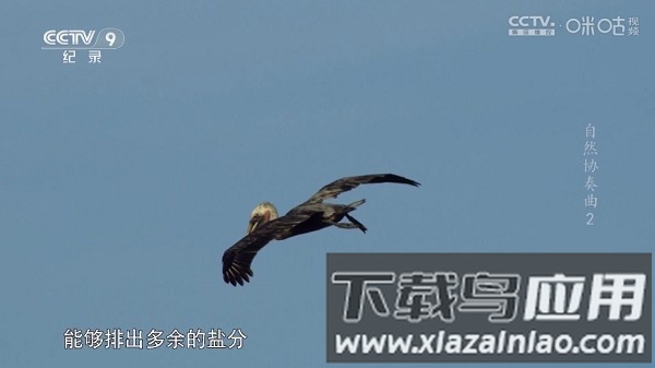 趣看仓box电视盒子最新版截图3