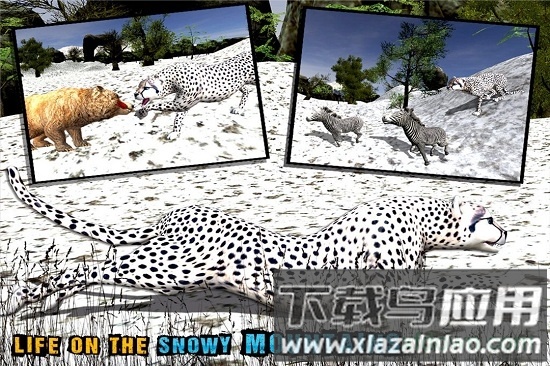 雪豹模拟器破解版最新版截图3