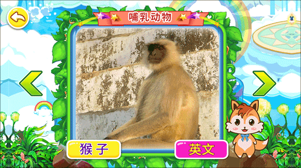 宝宝儿童动物世界
