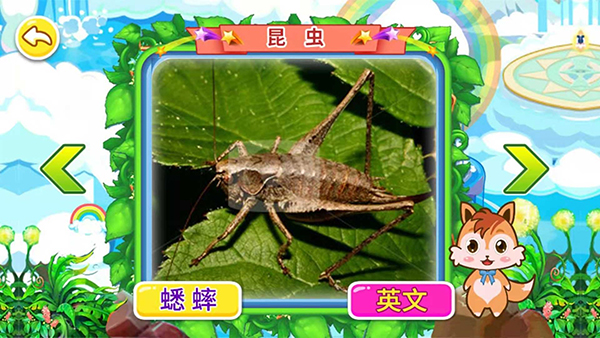 宝宝儿童动物世界最新版截图3