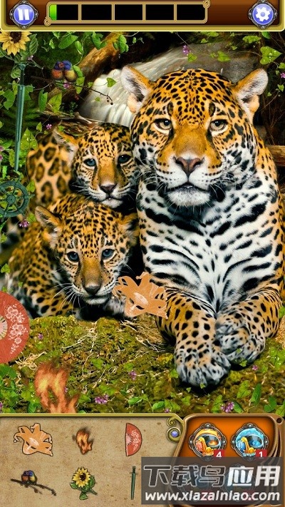 隐藏物体探索动物世界探险游戏最新版截图1