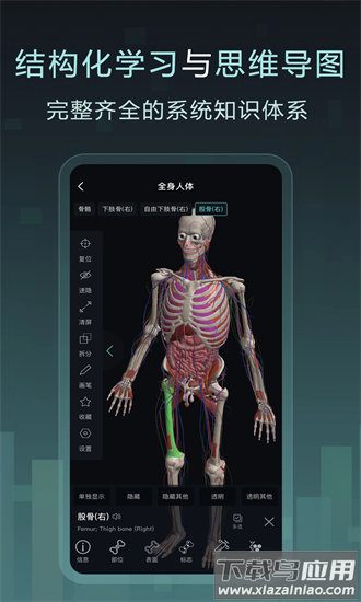 Easy解剖官方下载