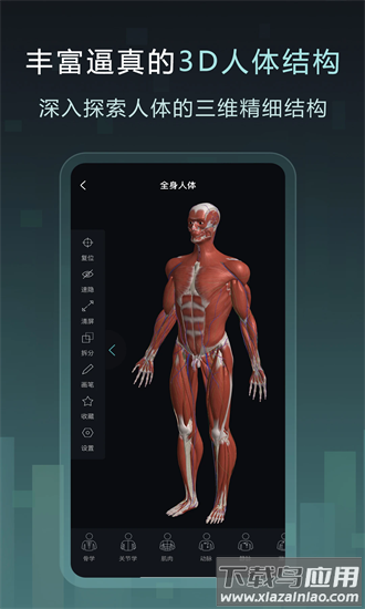 easy解剖app最新版截图1