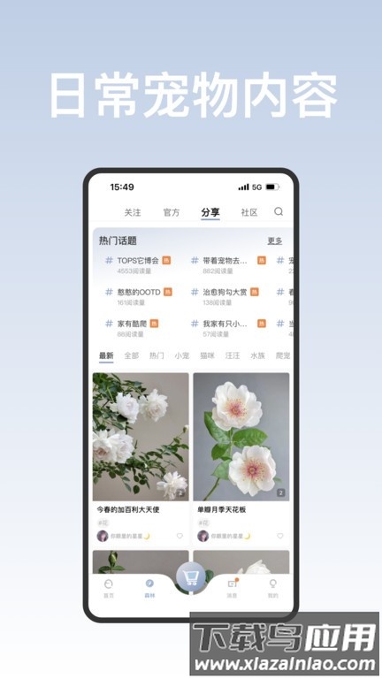 集宠区最新版截图