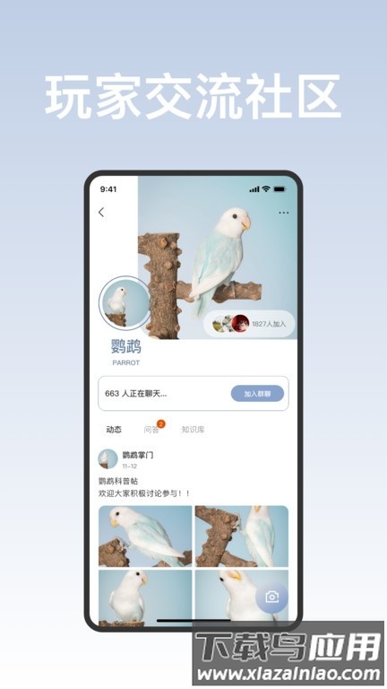 集宠区最新版截图