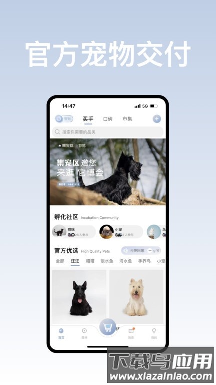 集宠区最新版截图