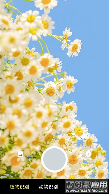 随手扫一扫最新版最新版截图3