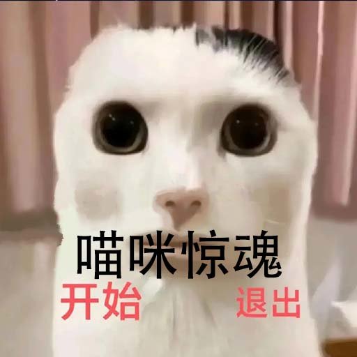 猫里奥大闯关官方版
