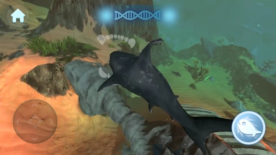 大鱼吃小鱼3d版手机版