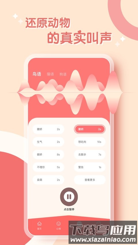 鹦鹉翻译器最新版最新版截图2