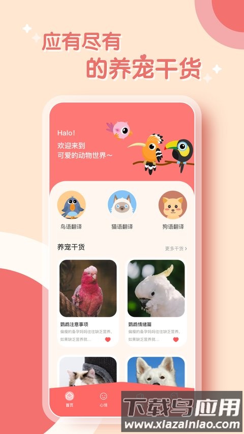 鹦鹉翻译器最新版最新版截图4
