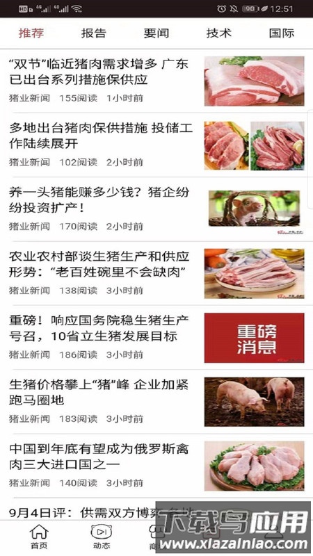 金猪手机版最新v1.3.18截图2