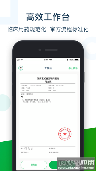 荷叶药师审方下载