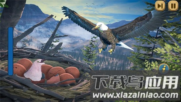 鹰模拟器游戏(Flying Bird Eagle Simulator 3D)截图