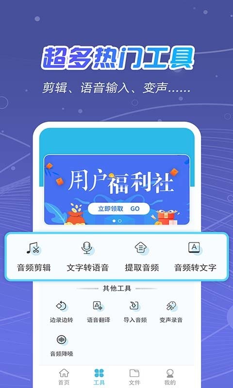 全能录音王手机版最新版截图2