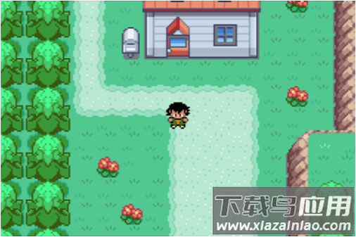 口袋妖怪圣灰无限金钱金手指版截图3