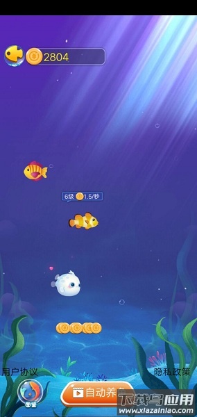 幸福鱼塘红包官方版最新版截图1