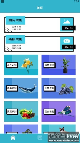 动植物识别软件下载