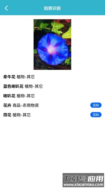 动植物识别app最新版截图3