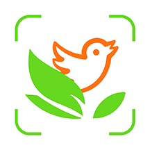 动植物识别app