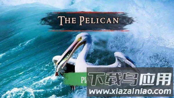 鹈鹕模拟器3d小游戏截图3