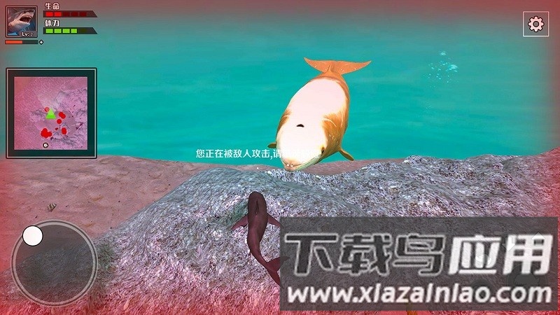 饥饿鲨鱼求生小游戏截图1