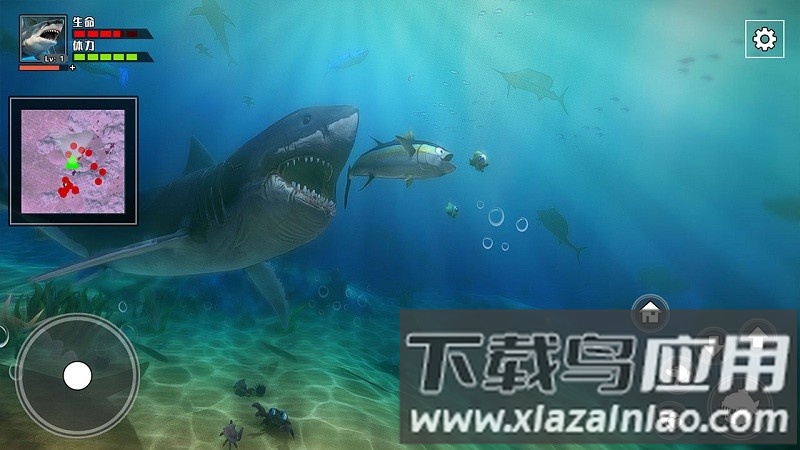 饥饿鲨鱼求生小游戏截图2