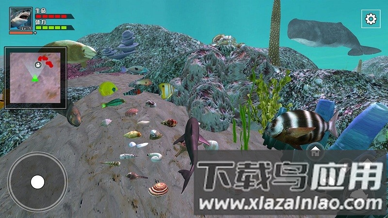 饥饿鲨鱼求生小游戏截图4