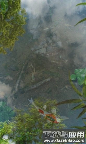 鱼池动态壁纸完整破解apk(Water Garden)截图2