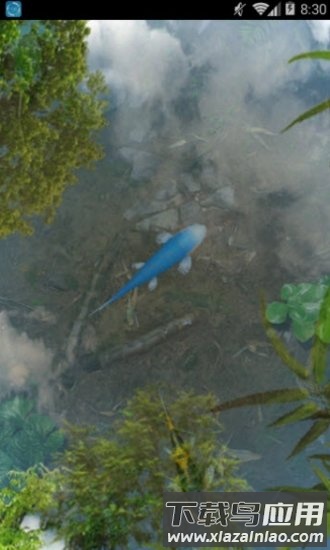 鱼池动态壁纸完整破解apk(Water Garden)截图4