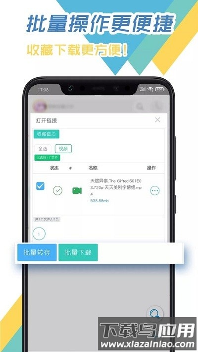 飞鸟下载器app下载