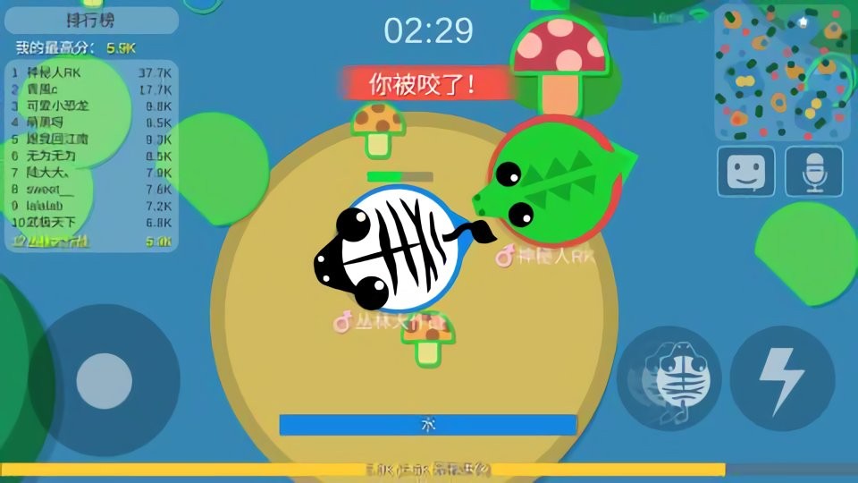 丛林大作战最新版2024截图1