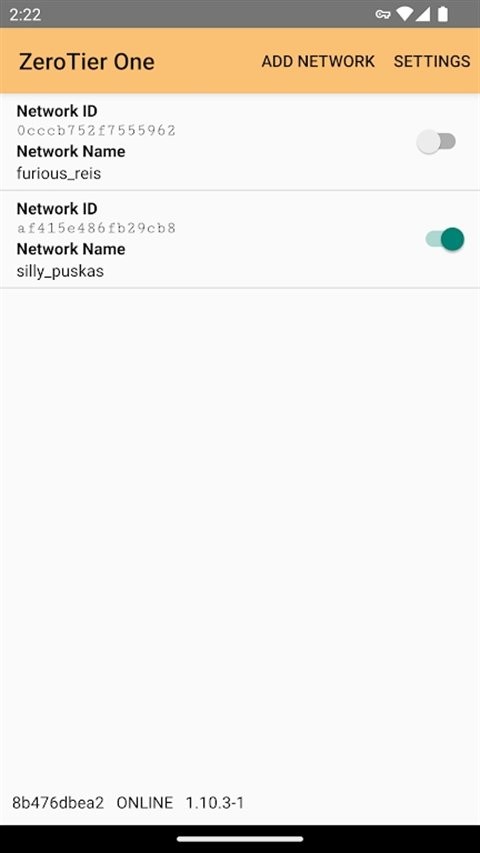 ZeroTier手机端截图2