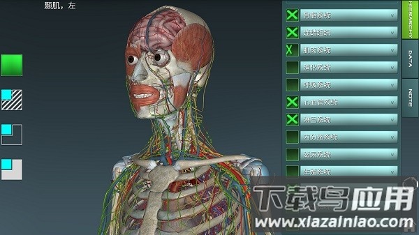 人体解剖学图集app下载