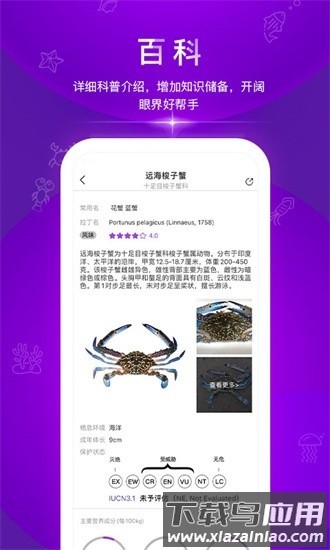 问鱼软件截图1