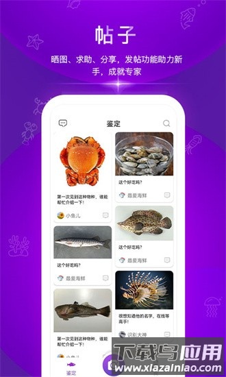 问鱼软件截图2