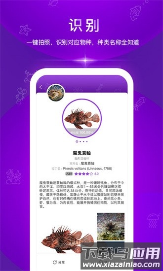 问鱼软件截图3