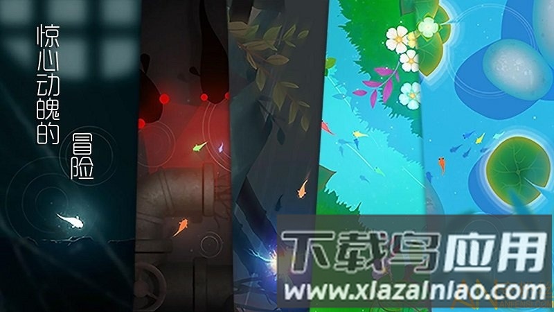 鲤游戏官方版截图2
