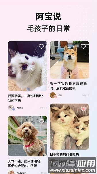 阿宝说手机版截图4