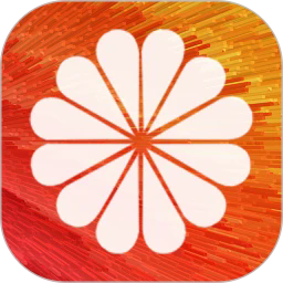 diy壁纸软件app