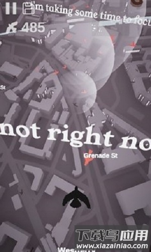 鸽子爱情故事游戏(Pigeon: A Love Story)截图1