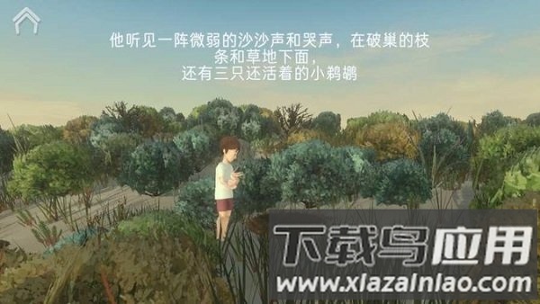 风暴男孩游戏下载