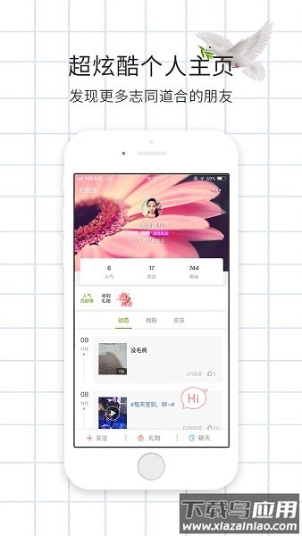 游鸽网最新版