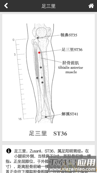 辨证堂中医诊所最新版app截图5