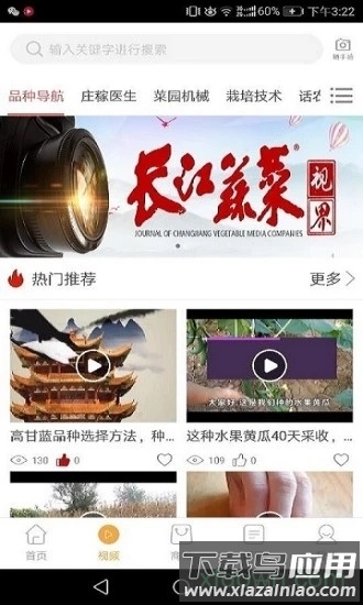 长江蔬菜