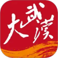 长江日报手机客户端(大武汉)