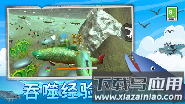 鲨鱼进化记