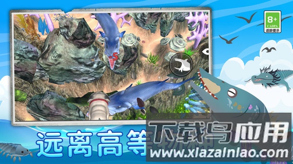 鲨鱼进化记截图4